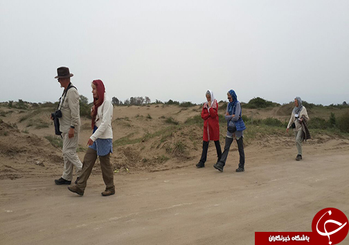 دستگیری شکارچیان قرقاول در کیاسر