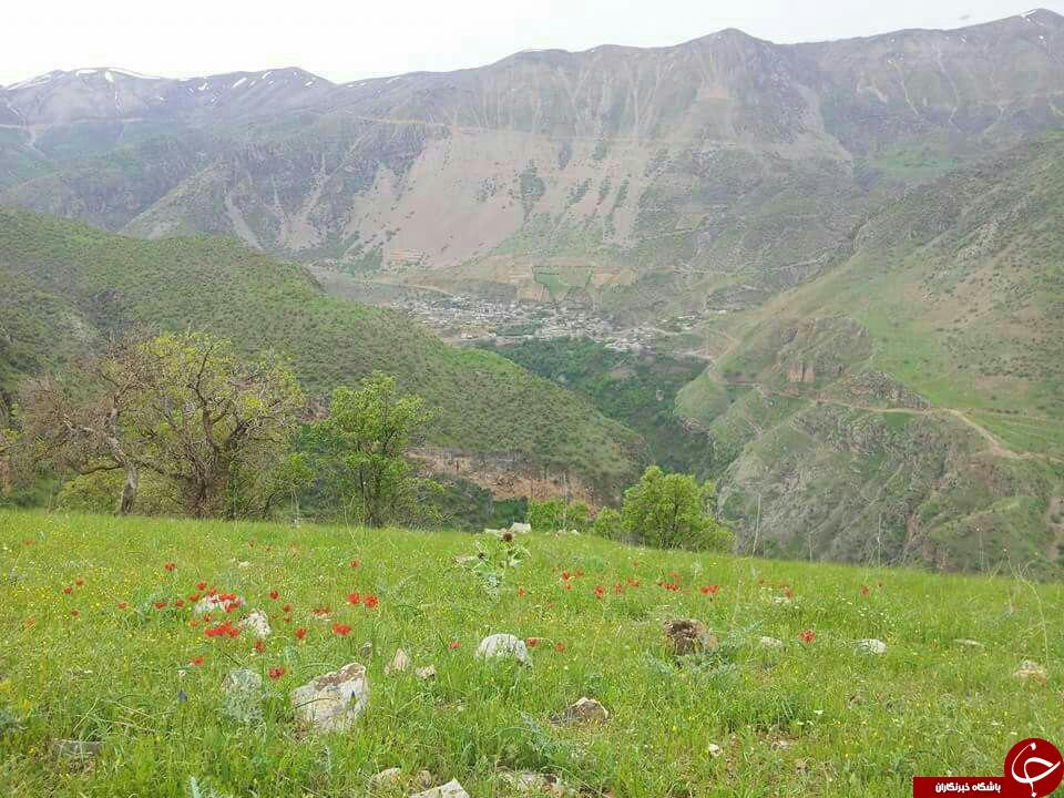 نمایی متفاوت از طبیعت بهاری پاوه + تصاویر