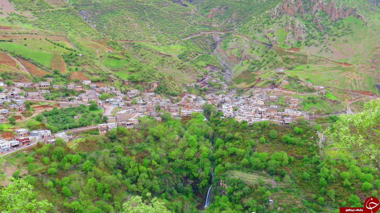 نمایی متفاوت از طبیعت بهاری پاوه + تصاویر