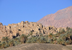 ارزیابی ظرفیت تولید و اشتغال در 2 روستای خراسان جنوبی