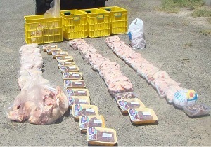 معدوم سازی نیم تن گوشت مرغ و ماهی در ایام نوروز