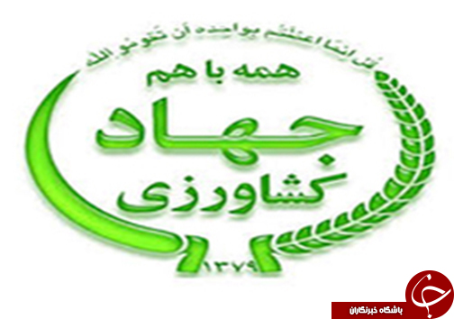 از شادمانی خونین هوادار پرسپولیس تا خواب ابدی در پی خواب آلودگی راننده