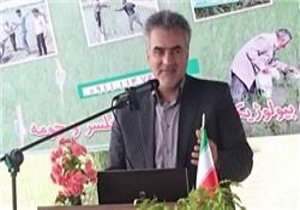 شته‌ها به چه باغاتی خسارت وارد می‌كنند؟