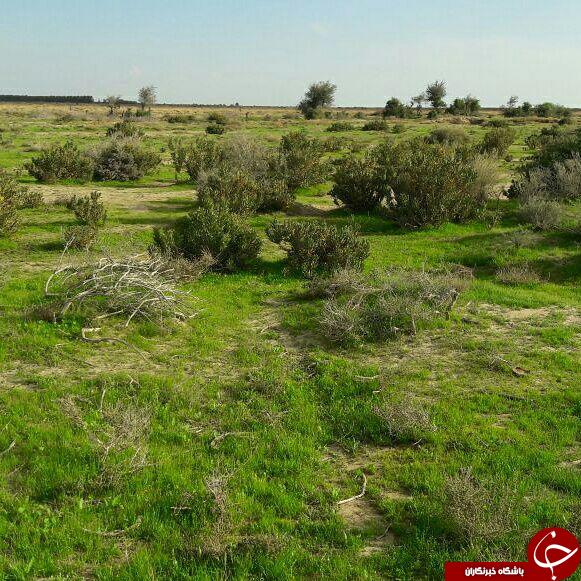 طبیعت بهاری روستای &laquo;چیل کنار&raquo; + تصاویر