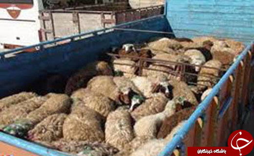 مهمترین حوادث روز گذشته در گلستان