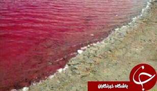 نمایی دیدنی از عجیب ترین چشمه ایران + تصاویر