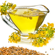 برداشت دانه روغنی کلزا
