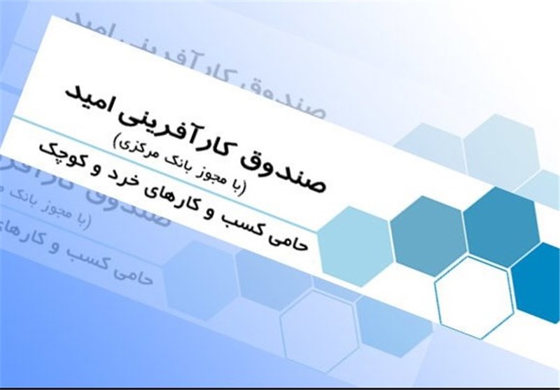 تشکیل ۳۰ صندوق خرد زنان روستایی در استان بوشهر