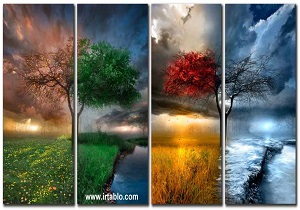 پیش بینی هواشناسی از اهمیت ویژه ای برخوردار است
