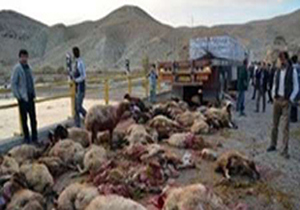 جدیدترین اخبار از حوادث جاده ای کشور/خواب آلودگی قربانی گرفت