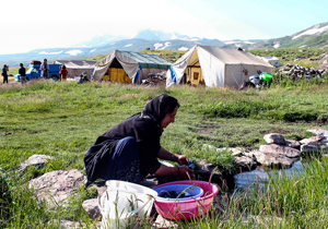 ۲۹ هزار سرپرست خانوار تحت پوشش خدمات بیمه روستایی قرار دارند