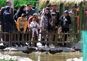 بازدید 34 هزار نفر از مراکز گردشگری و تفریحی ناژوان