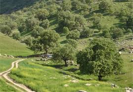شلال دان باشت میزبان هزاران گردشگر داخلی و خارجی