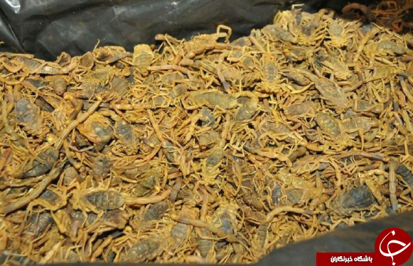 از اعلام رسمی قرارداد بوئینگ با ایران&zwnj;ایر و هلاکت مسعود رجوی تا کودتای ترکیه و عجیب&zwnj;ترین یافته&zwnj;های کاوشگران در چاه زمزم