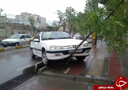 جدیدترین اخبار از حوادث جاده ای کشور/15 مصدوم در واژگونی اتوبوس در محور نی ریز -سیرجان