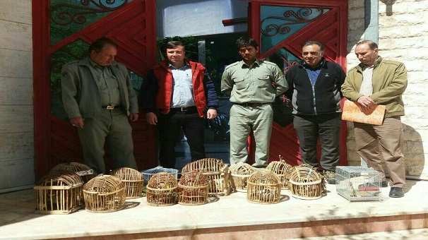 کشف13 قطعه کبک زنده از منزل متخلفین در ابهر