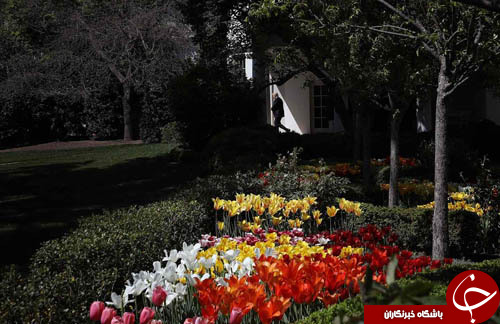 تصاویر روز: از همراهی یک ملخ با رئیس جمهور زیمباوه تا حمله به نامزد ریاست جمهوری فرانسه