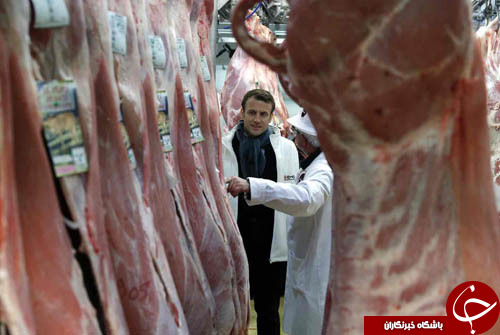 تصاویر روز: از همراهی یک ملخ با رئیس جمهور زیمباوه تا حمله به نامزد ریاست جمهوری فرانسه
