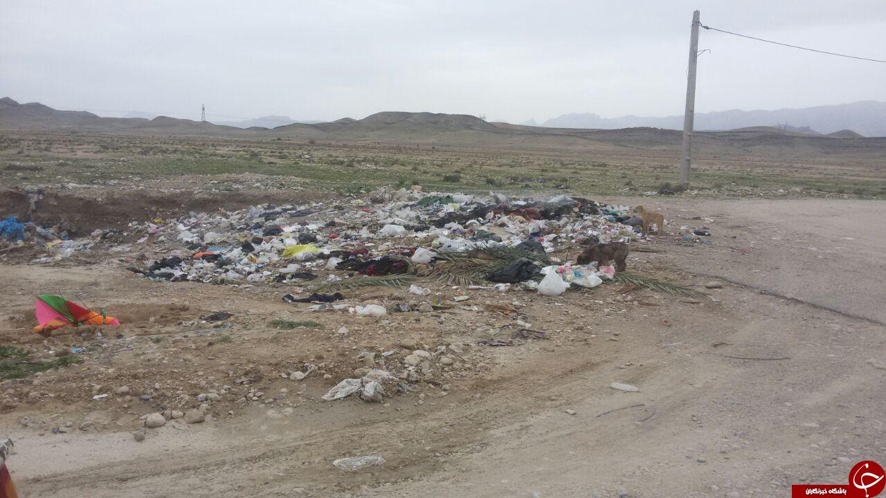 دپوی زباله در منطقه مسکونی + تصاویر