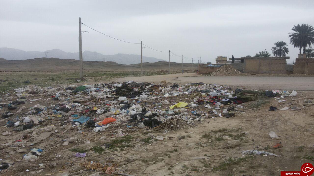 دپوی زباله در منطقه مسکونی + تصاویر