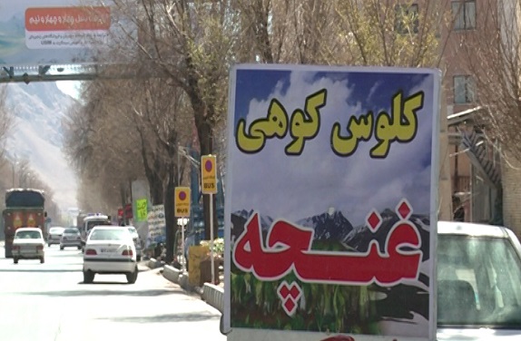 کارآفرینی با کاشت گیاه در حال انقراض