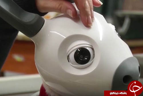 ساخت سگ رباتیک برای نگهداری از سالمندان+ تصاویر