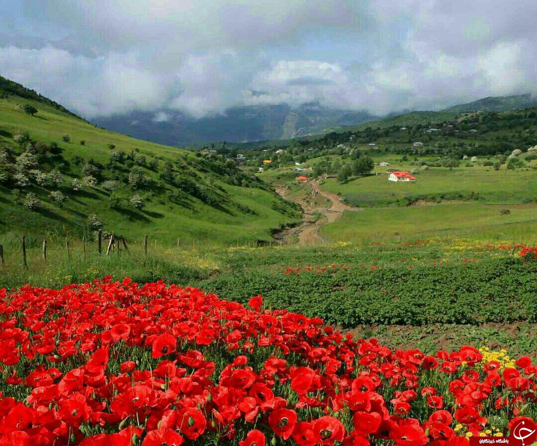 نمایی از طبیعت بهاری در تالش + تصاویر