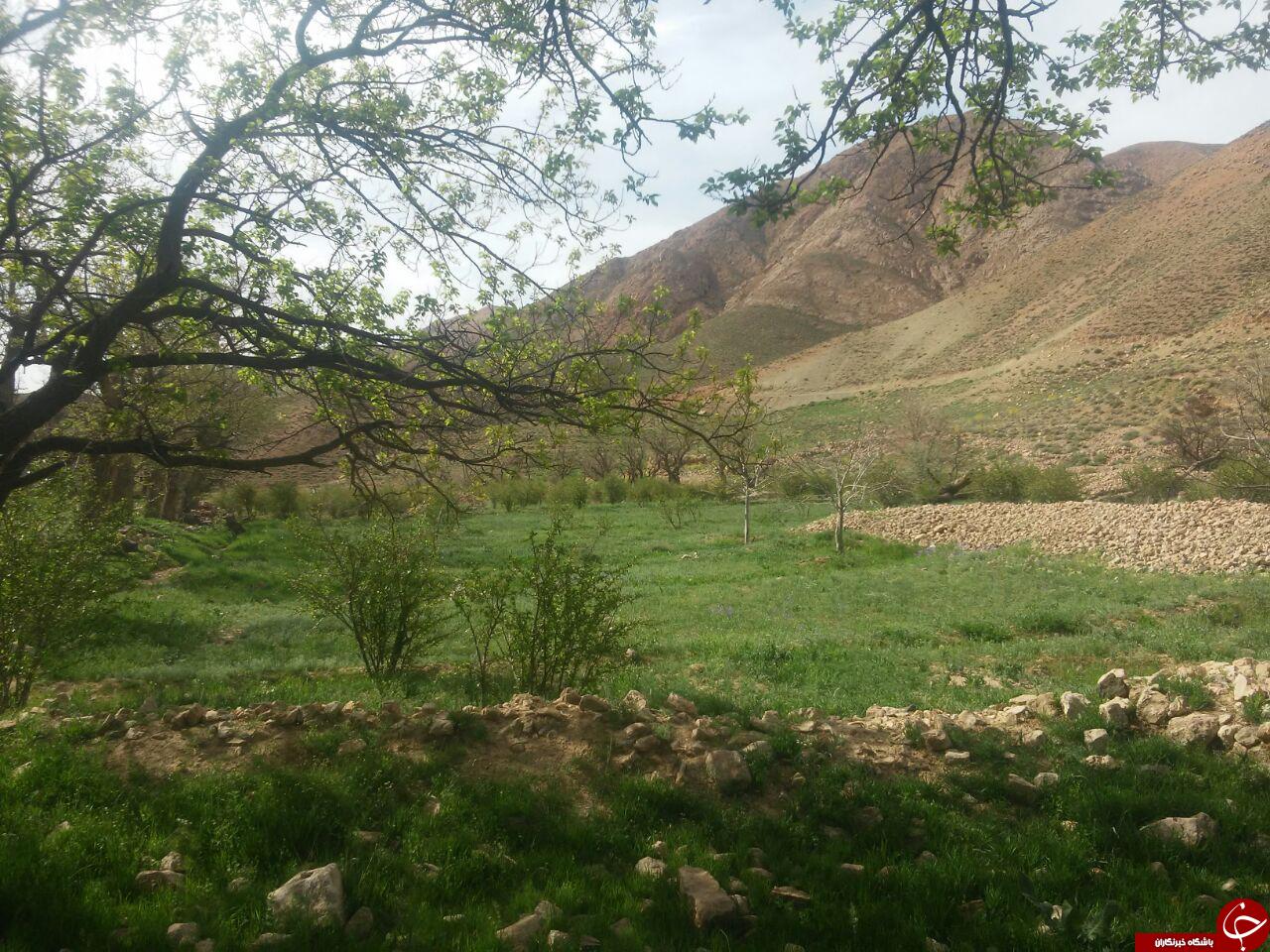 طبیعت بکر و گردشگری روستای &laquo;شیخ علی&raquo; + تصاویر