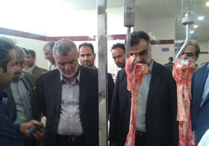 بازدید وزیر جهاد کشاورزی از بزرگ‌ترین زنجیره پرورش شترمرغ