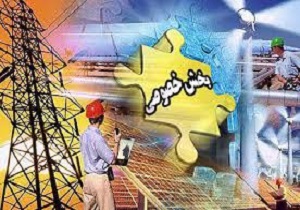 بخش خصوصی بازوی کمکی  دولت