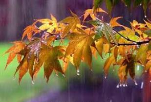 کاهش نسبی دمای هوا
