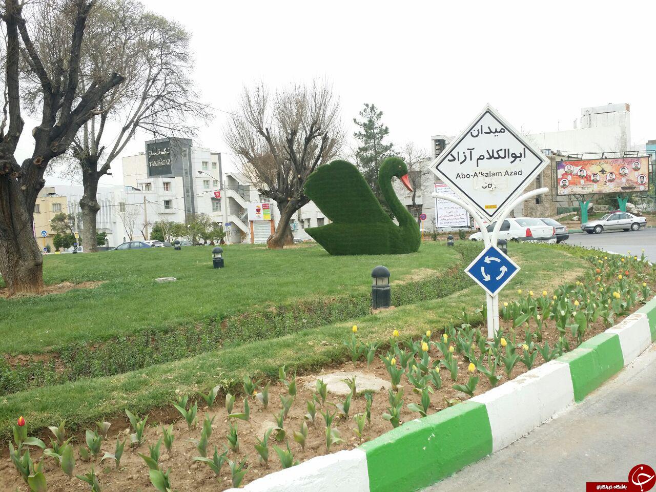 المان&zwnj;های زیبا در شیراز + تصاویر