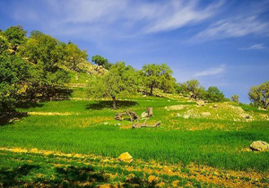 پرطرفدارترین مقاصد سفرهای نوروزی