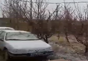 بارش زیبای برف در روستای لک + فیلم