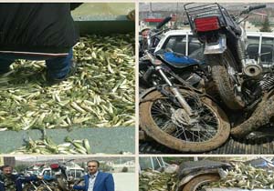 زندانی شدن متخلفان متعرض به منابع طبیعی