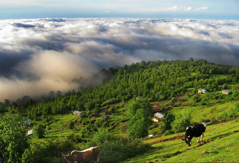 طبیعتی شگفت&zwnj;انگیز با ارتفاعی بی اندازه ازدریای خزر