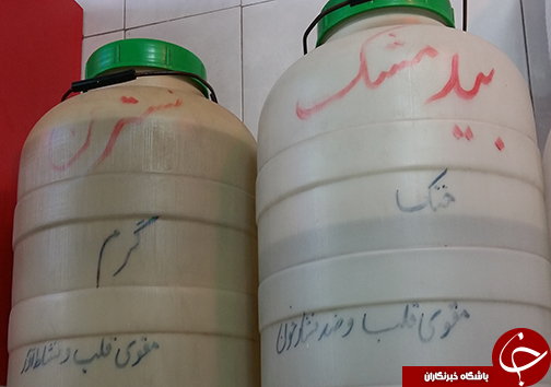 پارس سرزمین باستانی ایران + تصاویر