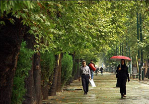 ادامه بارش باران تا دو روز آینده در هرمزگان