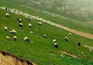محیط زیست  مدیریت درست پسماند نیاز دارد