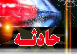 تکرار حادثه «مرگ در پارک»، این بار در «آنامیس»