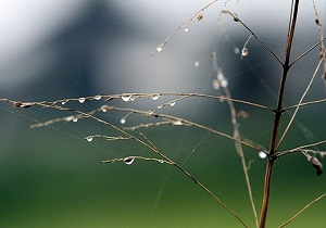 برف و باران پیش بینی هواشناسی برای سمنان