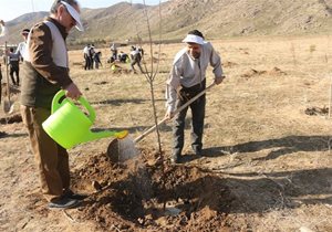 اعزام کاروان جهادگران بسیجی لردگان به خوزستان