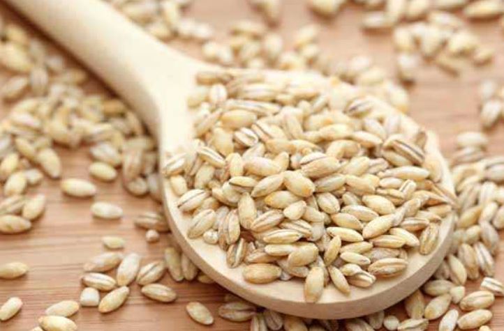 سوئد خریدار جدید جو  ایران