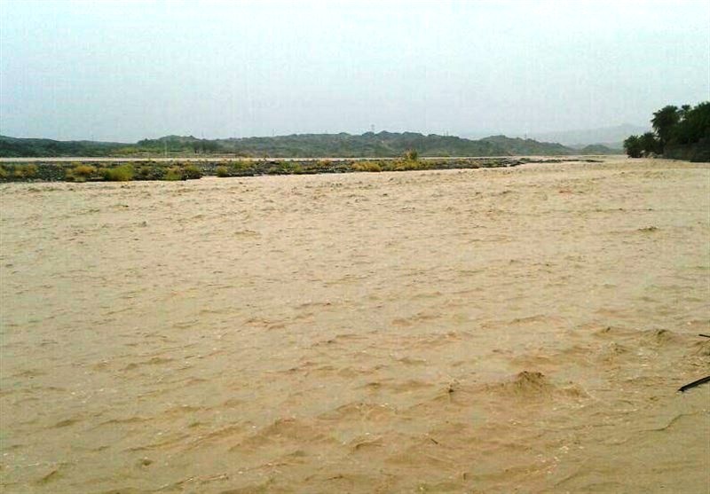 جان باختن ۲ نفر در دشتی و دیر در پی بارش باران/ روستاهای شهرستان دیر در محاصره سیل