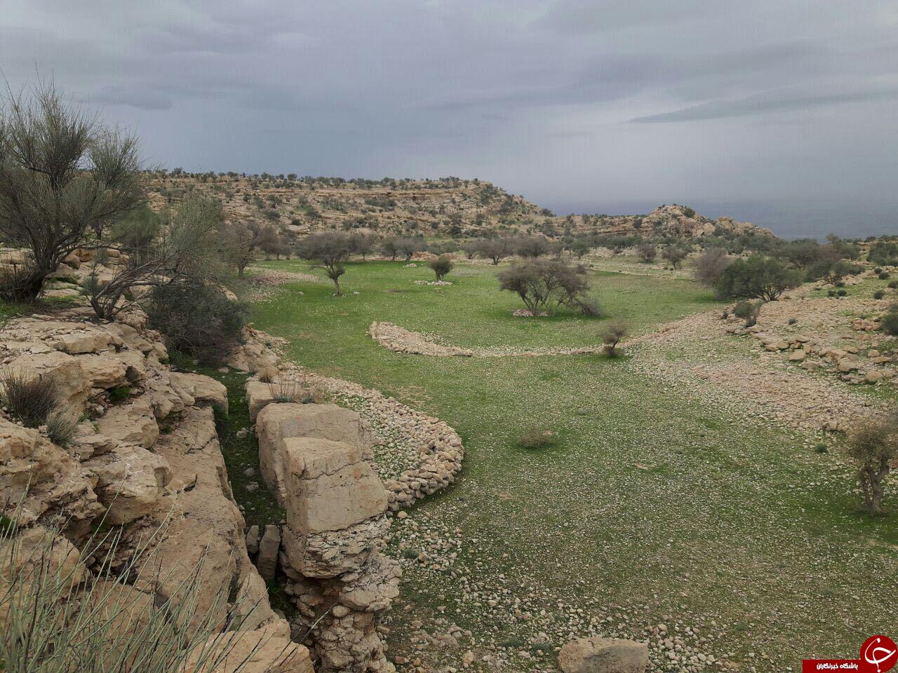 طبیعت زیبای خورموج بعد از باران بهاری + فیلم