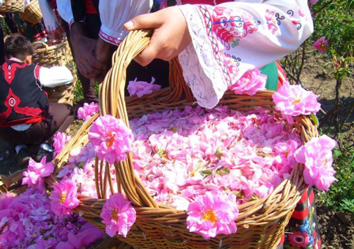 نگین الماس خانه&zwnj;های تاریخی بر انگشتری کاشان می&zwnj;درخشد