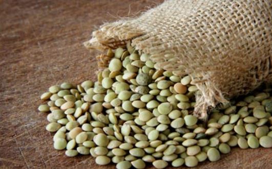 کانادا و روسیه صادرکنندگان عدس به ایران