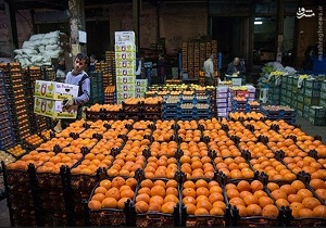 توزیع روزانه بیش از 50 تن میوه در استان سمنان