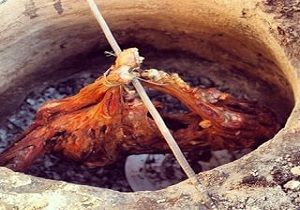 طعم خوش غذاهای محلی از جاذبه‌های گردشگری بندرچابهار