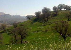 بازدید 100 هزار مسافر از منطقه گردشگری شلال دون
